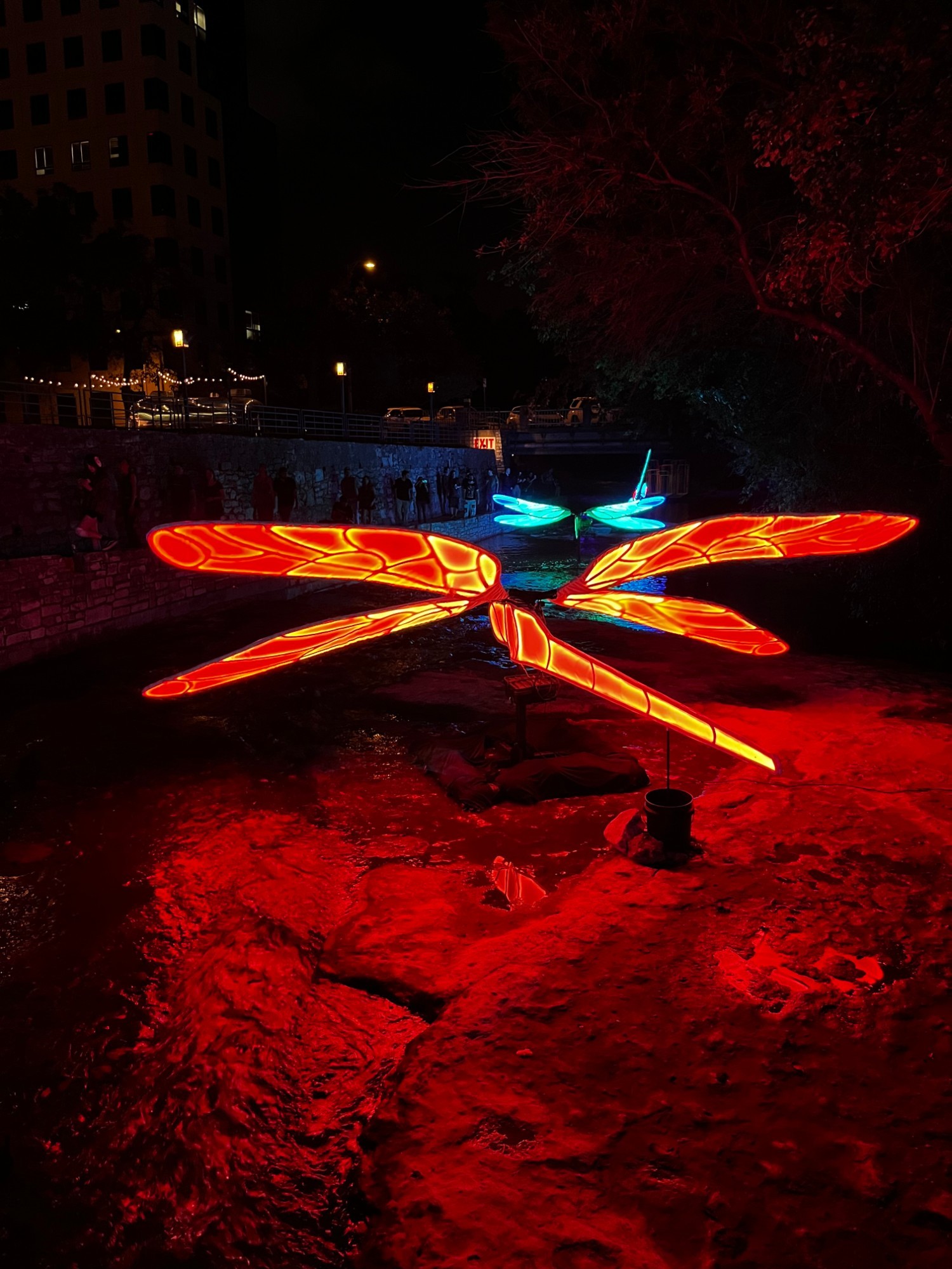 Illuminated dragonfly sculptures over the creek with the Austin skyline and crowd behind at night