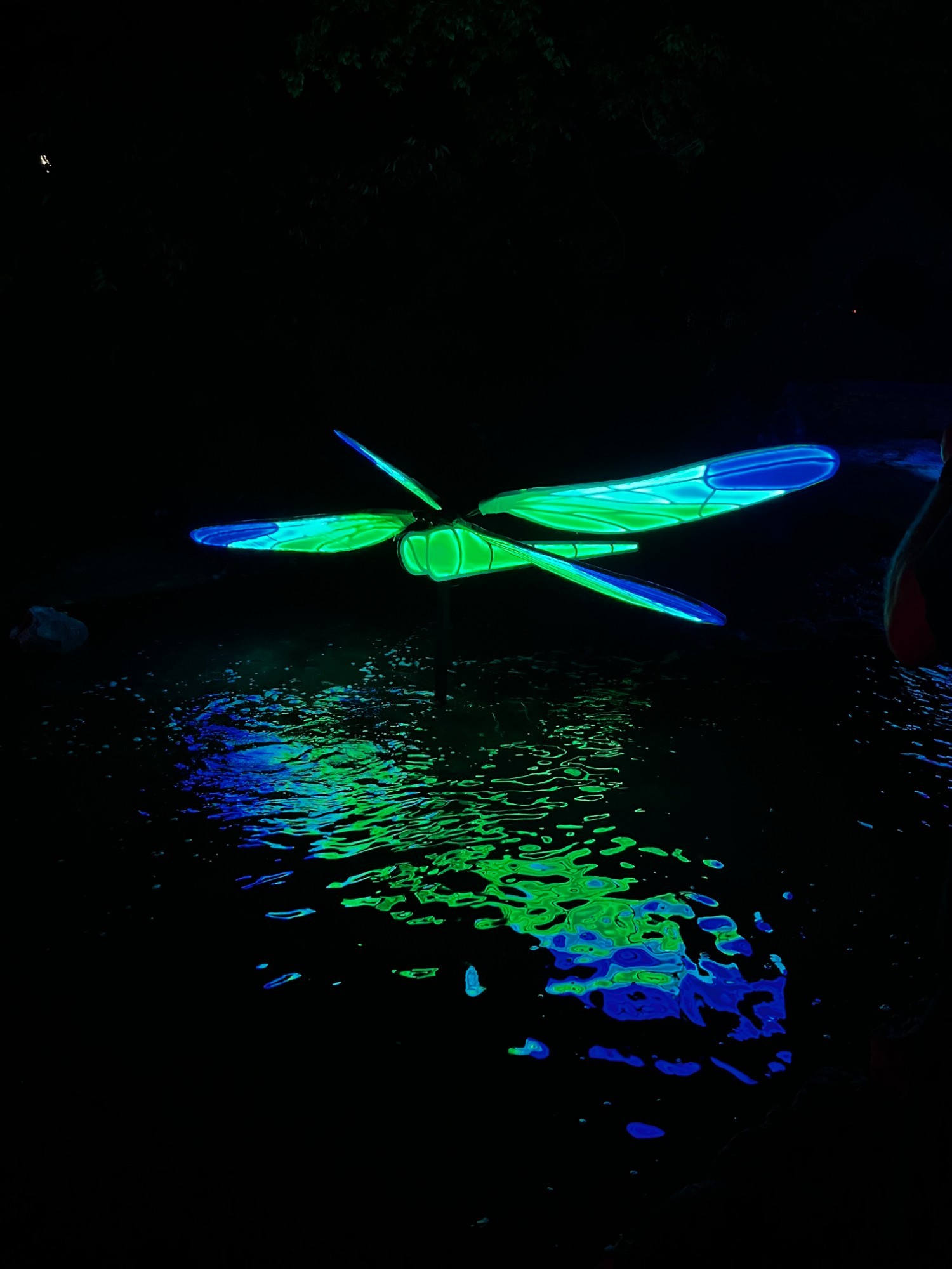 Green and blue dragonfly reflected in the creek water at night