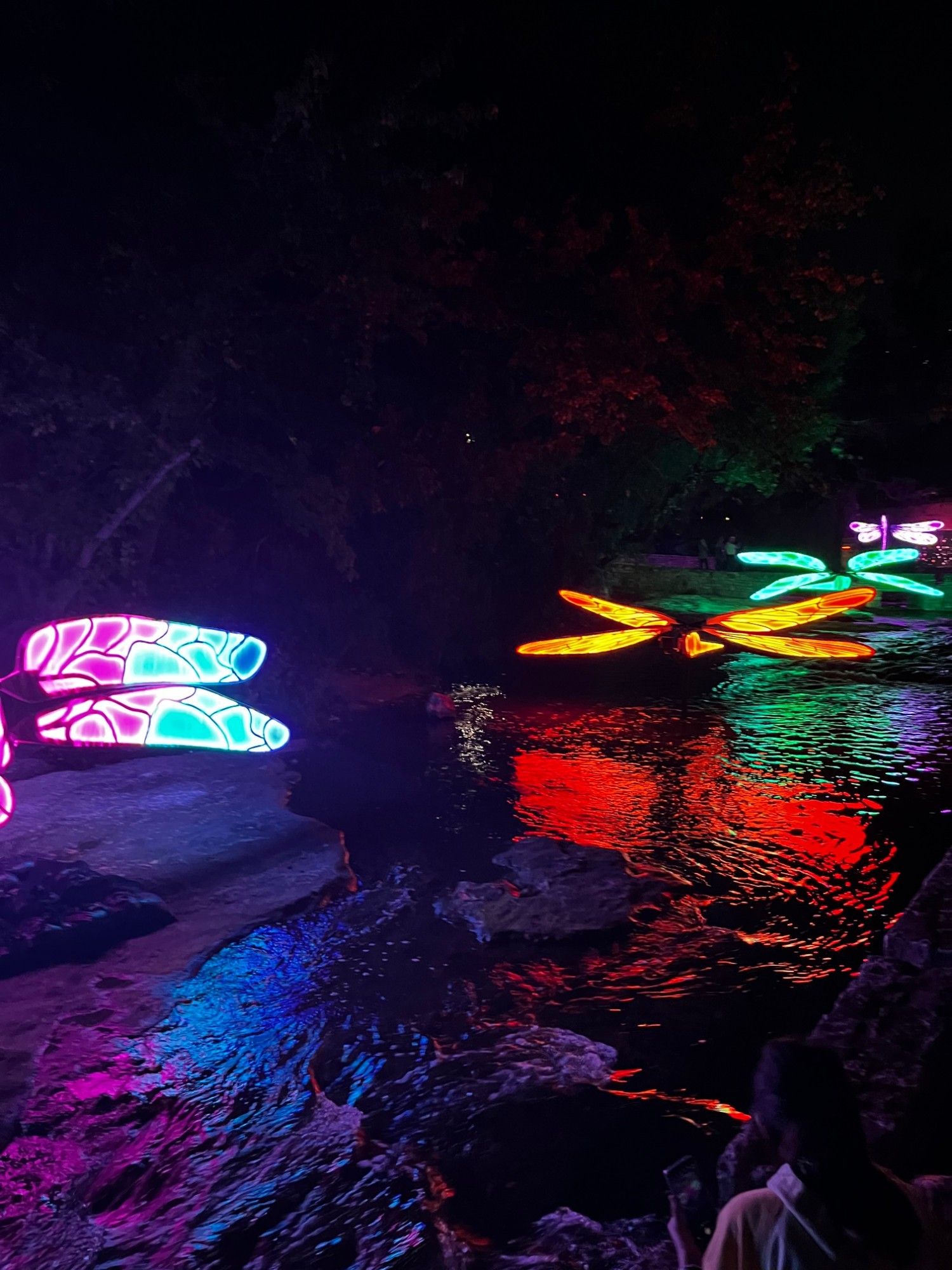 Multiple illuminated dragonflies spread across the creek at night