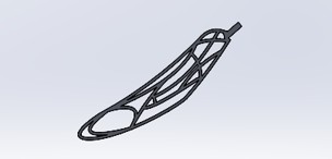 SolidWorks CAD model of a single dragonfly wing showing the structural rib frame