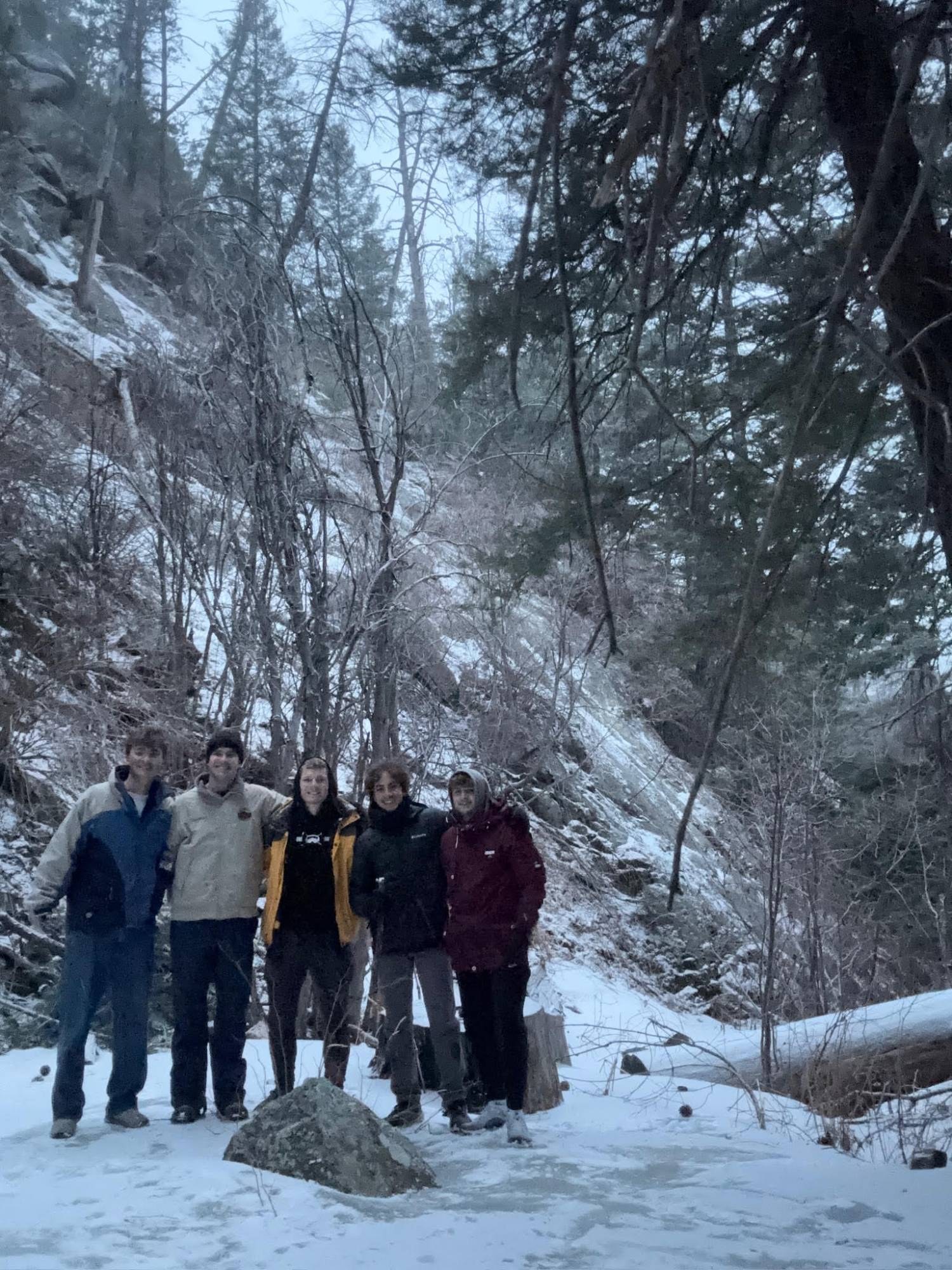 Group of friends on a snowy winter hike through the trees