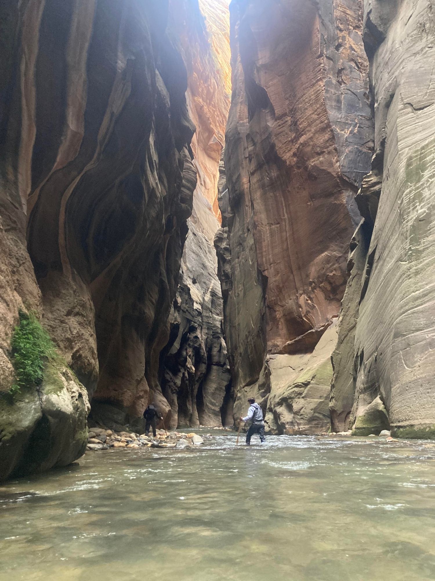 Wading through the river between the towering walls of the Zion Narrows